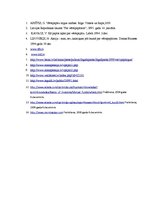 Referāts 'Vērtspapīri', 20.