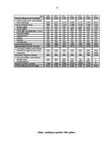 Biznesa plāns 'SIA "Briljanti"', 16.