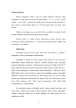 Referāts 'Videonovērošanas kameras, sistēmas, to izmantošana', 12.