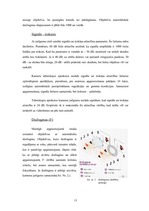 Referāts 'Videonovērošanas kameras, sistēmas, to izmantošana', 15.