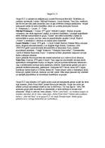 Konspekts 'Grupa F.L.Y.', 1.