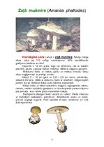 Konspekts 'Indīgās sēnes', 4.