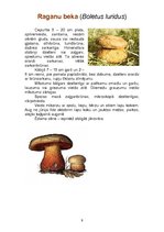 Konspekts 'Indīgās sēnes', 9.