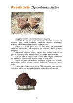 Konspekts 'Indīgās sēnes', 10.