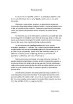 Eseja 'Ēnu ekonomika', 1.