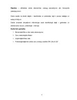 Referāts 'Transporta pakalpojuma uzņēmuma SIA "Sils & Co" cenu un darbības raksturojums', 4.