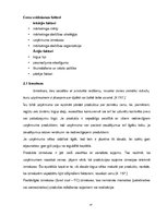 Referāts 'Transporta pakalpojuma uzņēmuma SIA "Sils & Co" cenu un darbības raksturojums', 14.