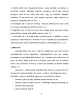 Referāts 'Transporta pakalpojuma uzņēmuma SIA "Sils & Co" cenu un darbības raksturojums', 19.