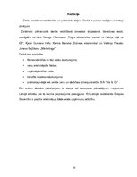 Referāts 'Transporta pakalpojuma uzņēmuma SIA "Sils & Co" cenu un darbības raksturojums', 33.