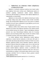 Diplomdarbs 'Juridisko strīdu izšķiršanas alternatīvie veidi', 13.