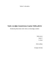 Referāts 'Saules enerģijas izmantošanas iespējas Saldus pilsētā', 1.