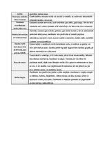 Prakses atskaite 'Atskaite par audzināšanas darba un profesionālās kvalifikācijas praksi', 9.