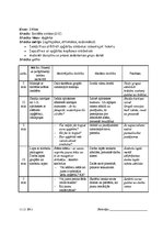Prakses atskaite 'Atskaite par audzināšanas darba un profesionālās kvalifikācijas praksi', 22.
