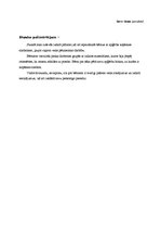 Prakses atskaite 'Atskaite par audzināšanas darba un profesionālās kvalifikācijas praksi', 23.