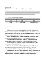 Prakses atskaite 'Atskaite par audzināšanas darba un profesionālās kvalifikācijas praksi', 31.