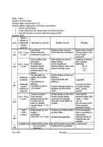 Prakses atskaite 'Atskaite par audzināšanas darba un profesionālās kvalifikācijas praksi', 32.