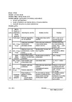 Prakses atskaite 'Atskaite par audzināšanas darba un profesionālās kvalifikācijas praksi', 35.