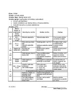 Prakses atskaite 'Atskaite par audzināšanas darba un profesionālās kvalifikācijas praksi', 37.