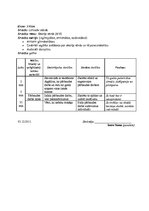 Prakses atskaite 'Atskaite par audzināšanas darba un profesionālās kvalifikācijas praksi', 39.