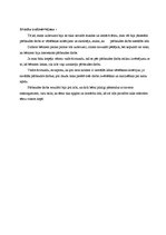 Prakses atskaite 'Atskaite par audzināšanas darba un profesionālās kvalifikācijas praksi', 40.