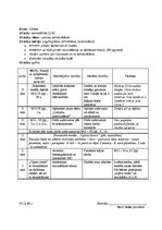 Prakses atskaite 'Atskaite par audzināšanas darba un profesionālās kvalifikācijas praksi', 41.