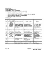 Prakses atskaite 'Atskaite par audzināšanas darba un profesionālās kvalifikācijas praksi', 43.