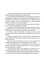 Prakses atskaite 'Atskaite par audzināšanas darba un profesionālās kvalifikācijas praksi', 55.