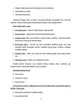 Referāts 'Līderība', 4.