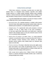 Referāts 'Līderība', 8.