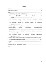 Diplomdarbs 'Azartspēļu ierobežošanas tiesiskās problēmas pašvaldībās', 7.