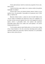 Prakses atskaite 'Prakses atskaite finanšu grāmatvedībā', 19.