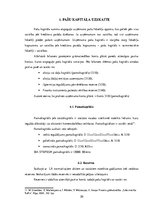 Prakses atskaite 'Prakses atskaite finanšu grāmatvedībā', 20.