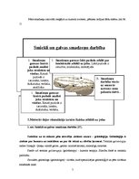 Referāts 'Smieklu terapija', 5.