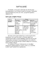 Referāts 'Nafta, naftas pārstrāde, koksnes rūpniecība, dabasgāze, naftas gāze', 7.