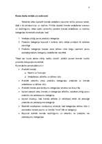 Referāts 'Brenda veidošana kategorijas kontekstā', 4.