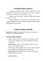 Referāts 'Organizācijas iekšējā un ārējā vide pārtikas preču mazumtirdzniecības uzņēmumā', 3.