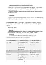 Referāts 'Organizācijas iekšējā un ārējā vide pārtikas preču mazumtirdzniecības uzņēmumā', 5.