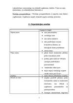 Referāts 'Organizācijas iekšējā un ārējā vide pārtikas preču mazumtirdzniecības uzņēmumā', 7.