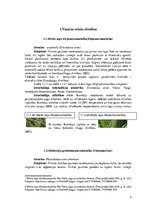 Referāts 'Vasaras miežu augu aizsardzības sistēma', 2.
