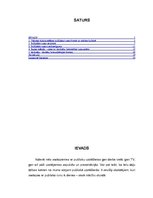 Referāts 'Publiskā runa', 2.