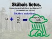 Prezentācija 'Gaisa piesārņojums. Smogs. Skābais lietus', 13.