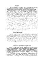 Referāts 'Stratēģijas vadība', 1.