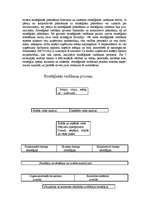 Referāts 'Stratēģijas vadība', 2.