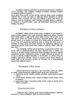 Referāts 'Stratēģijas vadība', 3.