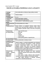 Paraugs 'Amata apraksts', 1.