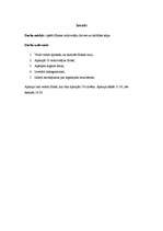 Referāts 'Slokas iedzīvotāju dzīves un darba telpas izpēte', 3.