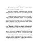 Referāts 'Slokas iedzīvotāju dzīves un darba telpas izpēte', 6.