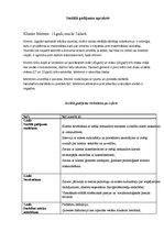 Paraugs 'Sociālā gadījuma risināšana pa soļiem', 2.