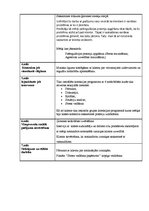 Paraugs 'Sociālā gadījuma risināšana pa soļiem', 3.