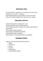 Referāts 'Zaļās joslas misija', 2.